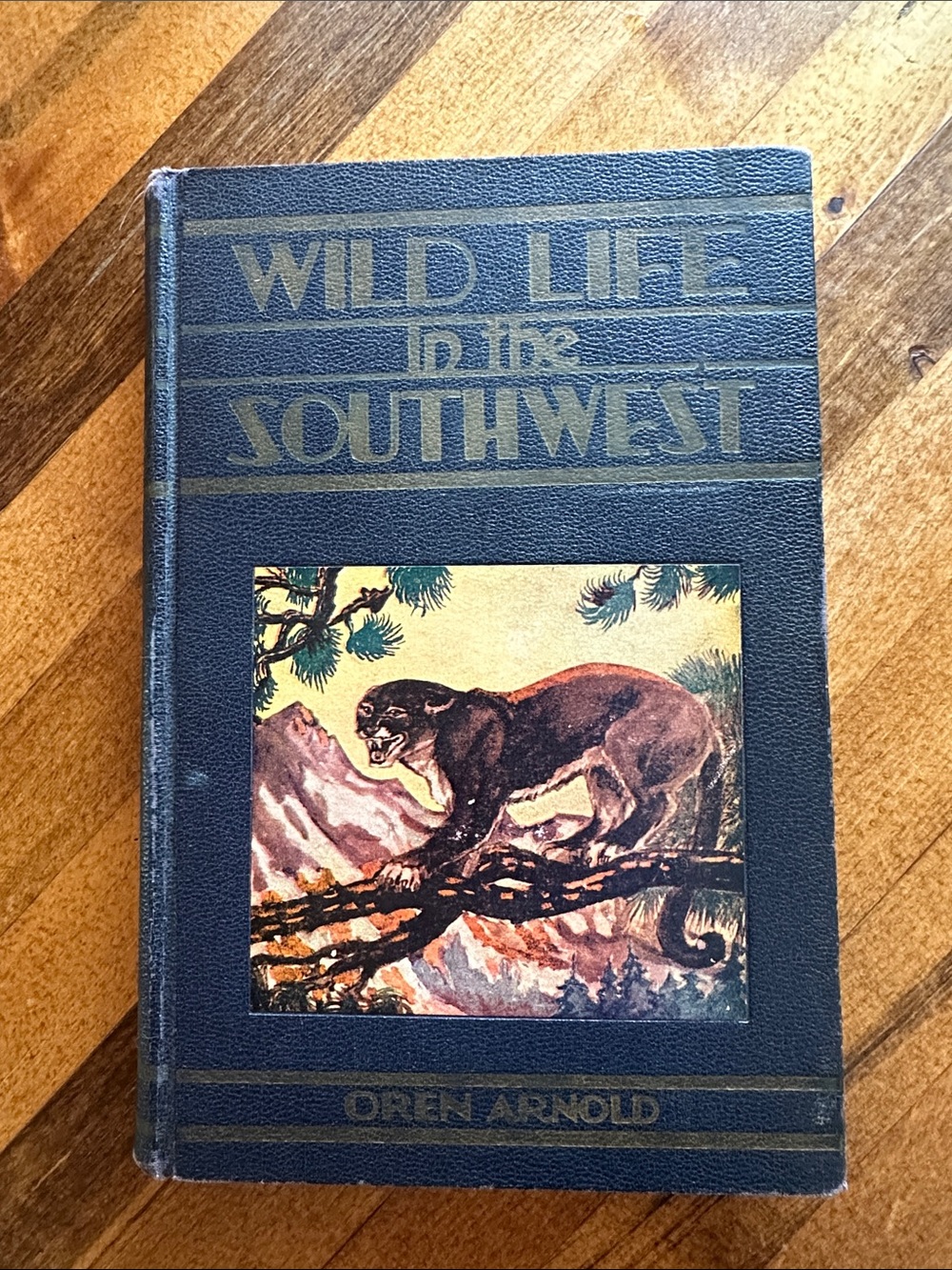 Vintage Hardcover Wild Life in the Southwest Book